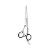 Matsui Aichei Mountain Scissor &amp; Thinner  Combo (6708047301)