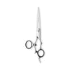 Matsui Swivel scissor  (6361499973)